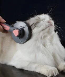 Pakeway T9 - Kattenborstel - Zelfreinigende Kattenkam - Roze - Massageborstel - 19,3 Cm -Dieren Benodigdheden Winkel 1005x1200