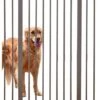 Savic Dog Barrier Afsluithek - Hondenhek Verlengstuk Voor Afsluithek -Dieren Benodigdheden Winkel 1020x1200 2