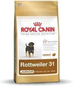 Royal Canin Rottweiler Junior 12 KG -Dieren Benodigdheden Winkel 1021x1200