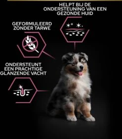Pro Plan Medium Puppy Sensitive Skin - Honden Droogvoer - Zalm - 12 Kg -Dieren Benodigdheden Winkel 1048x1200 2