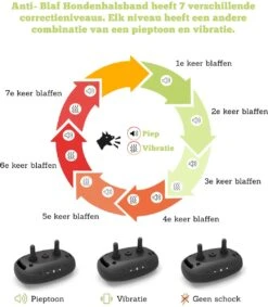Doggie™ Anti Blafband - Diervriendelijk - GEEN Schok - Anti Blafband - Hondenhalsband -Dieren Benodigdheden Winkel 1048x1200 3