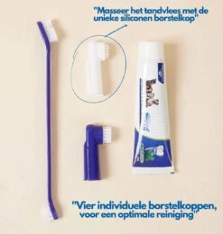 Hond En Kat Tandenborstel Verzorgingsset - Inclusief Tandpasta Met Beefsmaak - Vier Unieke Reinigingsborstels - Fluoride Vrij -Dieren Benodigdheden Winkel 1142x1200 1