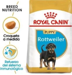 Royal Canin Rottweiler Junior 12 KG -Dieren Benodigdheden Winkel 1148x1200