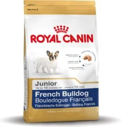 Royal Canin French Bulldog Junior 3 KG -Dieren Benodigdheden Winkel 1150x1200 1