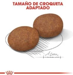 Royal Canin Medium Adult 7+ 15 KG -Dieren Benodigdheden Winkel 1154x1200 1