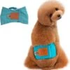 Merkloos Hondenluier Voor Kleine Hond - Luier Voor Reu - Buikband Maat S 27 Cm X 25 Cm -Dieren Benodigdheden Winkel 1164x1200