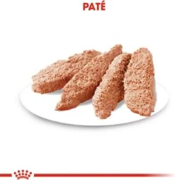 Royal Canin Ccn Sterilised Wet - Hondenvoer - 12x85 G -Dieren Benodigdheden Winkel 1166x1200