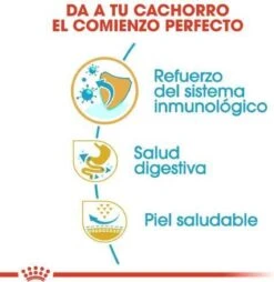 Royal Canin French Bulldog Junior 3 KG -Dieren Benodigdheden Winkel 1168x1200 3