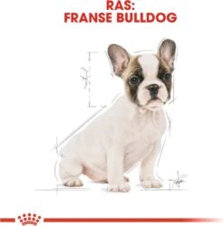 Royal Canin French Bulldog Junior 3 KG -Dieren Benodigdheden Winkel 1185x1200 2