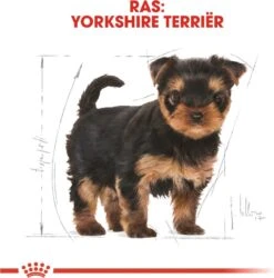 Royal Canin Yorkshire Terrier Junior 1.5 KG -Dieren Benodigdheden Winkel 1186x1200 1