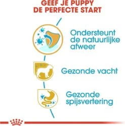 Royal Canin Yorkshire Terrier Junior 1.5 KG -Dieren Benodigdheden Winkel 1186x1200 2