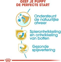 Royal Canin Rottweiler Junior 12 KG -Dieren Benodigdheden Winkel 1186x1200