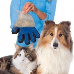 Vacht Verzorgingsborstel Voor Huisdieren - Blauw - LimitedDeals - Voor Honden Katten Konijnen Paarden - Tevens Massage Handschoen Voor Dieren! - Goed Voor De Verzorging Van De Vacht 17 Vacht Verzorgingsborstel Voor Huisdieren - Blauw - LimitedDeals - Voor Honden Katten Konijnen Paarden - Tevens Massage Handschoen Voor Dieren! - Goed Voor De Verzorging Van De Vacht -Dieren Benodigdheden Winkel 1189x1200 4