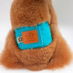 Merkloos Hondenluier Voor Kleine Hond - Luier Voor Reu - Buikband Maat S 27 Cm X 25 Cm -Dieren Benodigdheden Winkel 1194x1200 7