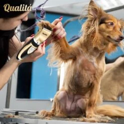 Merkloos Professionele Honden Tondeuse Set - Tondeuse Voor Huisdier Honden En Katten - Hondentrimmer - Hondentondeuse 15 Merkloos Professionele Honden Tondeuse Set - Tondeuse Voor Huisdier Honden En Katten - Hondentrimmer - Hondentondeuse -Dieren Benodigdheden Winkel 1198x1200 10