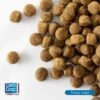 Carocroc Premium Puppy Large 25/17 15 Kg + Gratis Rocco Sticks 1 Carocroc Premium Puppy Large 25/17 15 Kg + Gratis Rocco Sticks -Dieren Benodigdheden Winkel 1198x1200 3