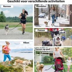 Filo Elastische Hondenriem Groot - Hardlopen En Wandelen - Hardloopriem Hond Handsfree Met Heuptasje - Looplijn Met Heupriem - Canicross Gordel Honden - Riemen - Heupgordel - Leiband -Dieren Benodigdheden Winkel 1199x1200 10