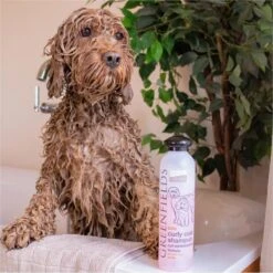 Greenfields Labradoodle Vacht Verzorgingsset - Shampoo En Anti-Klit Spray Voor Langharige Of Krullende Vacht -Dieren Benodigdheden Winkel 1199x1200 4