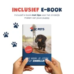 JC Pets Premium Pad Houder Met Rooster - Inclusief 20 Puppy Training Pads - Hondentoilet - Zindelijkheidstraining Hond 23 JC Pets Premium Pad Houder Met Rooster - Inclusief 20 Puppy Training Pads - Hondentoilet - Zindelijkheidstraining Hond -Dieren Benodigdheden Winkel 1199x1200 8