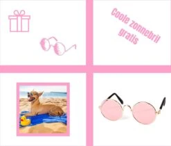 Pepets© – Hondenhanddoek – Honden Handdoek – Microvezel Handdoek – Handdoek Hond – Hondendeken – Droogdoek Hond – Dierendeken – Absorberend – 100*50CM - Beige - GRATIS Zonnebril -Dieren Benodigdheden Winkel 1200x1018