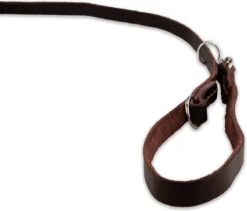 Multifunctionele Hondenriem - 220cm - Bruin - Leren Hondenriem - 100% Volnerfleer - Hondenriem Leer - Leiband Hond 19 Multifunctionele Hondenriem - 220cm - Bruin - Leren Hondenriem - 100% Volnerfleer - Hondenriem Leer - Leiband Hond -Dieren Benodigdheden Winkel 1200x1026 2