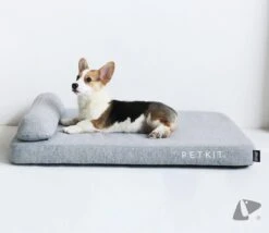 PETKIT® Deep Sleep Bed - Hondenmand - Kattenmand - Memory Foam - Orthopedisch - Maat M -Dieren Benodigdheden Winkel 1200x1039