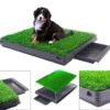 Merkloos Hondentoilet Kunstgras Met Bak - Indoor Dierentoilet - Uitneembare Opvangbak - Puppy Training Pets - Outdoor/Balkon/Tuin/Indoor Toilet - 50x64 Cm 2 Merkloos Hondentoilet Kunstgras Met Bak - Indoor Dierentoilet - Uitneembare Opvangbak - Puppy Training Pets - Outdoor/Balkon/Tuin/Indoor Toilet - 50x64 Cm -Dieren Benodigdheden Winkel 1200x1041 1