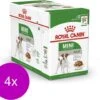 Royal Canin Shn Mini Adult Pouch - Hondenvoer - 4 X 12 X 85 G -Dieren Benodigdheden Winkel 1200x1042 1