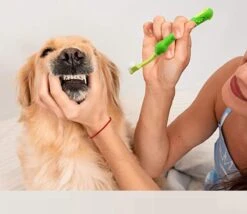 Merkloos Tandenborstel - Voor Huisdieren - Honden - 3 Zijdig - Multi-Hoek - Schoonmaken - Tanden - Slechte Adem - Tandsteen - Tandenborstel - Gezondheid - Blauw -Dieren Benodigdheden Winkel 1200x1042 2