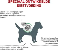 Royal Canin Satiety Small Dog - Hondenvoer Voor Kleine Volwassen Honden Met Overgewicht 3 Kg -Dieren Benodigdheden Winkel 1200x1043