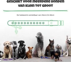 Anti Blafband Met Afstandsbediening - Blafband Voor Honden - Anti Blaf Apparaat Zonder Schok - Twee In Een Trainingshalsband -Dieren Benodigdheden Winkel 1200x1055