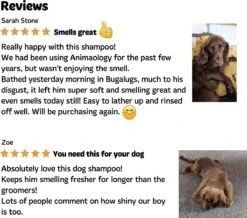 Bugalugs - Hondenshampoo - One In A Million - Alle Vachttypes - Fles Met Pompje - Vegan - 500 Ml -Dieren Benodigdheden Winkel 1200x1061 1