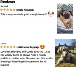 Bugalugs - Hondenshampoo - One In A Million - Alle Vachttypes - Fles Met Pompje - Vegan - 500 Ml -Dieren Benodigdheden Winkel 1200x1066 5