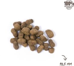 VITALstyle ADULT - Hondenbrokken - 12 Kg -Dieren Benodigdheden Winkel 1200x1067