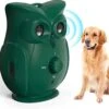 Bolify - Anti Blaf Apparaat - Anti Blafband - Anti Blaf - Zonder Schok - Diervriendelijk - Ultrasoon - Uil Model -Dieren Benodigdheden Winkel 1200x1079 1