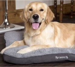 Scruffs Cosy - Comfortabel Hondenkussen In Grijs, Beige Of Karamel - Met Imitatie Suède Buitenvoering En Superzachte Binnenvoering - 100 X 70 Cm - Grijs -Dieren Benodigdheden Winkel 1200x1080