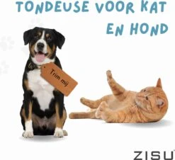 Hondentondeuse - Hondentrimmer - Dieren Tondeuse - Draadloos - 4 Opzetkammen - INCLUSIEF SNACKJE - Zwart 21 Hondentondeuse - Hondentrimmer - Dieren Tondeuse - Draadloos - 4 Opzetkammen - INCLUSIEF SNACKJE - Zwart -Dieren Benodigdheden Winkel 1200x1098 1