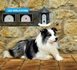 Vulpes Pets® Anti Blaf Apparaat Pro - Anti Blafband Voor Alle Honden - Luxe Hondentrainer - Diervriendelijk & Zonder Schok - Inclusief 9V Batterij - Waterbestendig - Ophangbaar - Instelbare Ultrasone Niveauregeling - 4 Standen 16 Vulpes Pets® Anti Blaf Apparaat Pro - Anti Blafband Voor Alle Honden - Luxe Hondentrainer - Diervriendelijk & Zonder Schok - Inclusief 9V Batterij - Waterbestendig - Ophangbaar - Instelbare Ultrasone Niveauregeling - 4 Standen -Dieren Benodigdheden Winkel 1200x1102 2