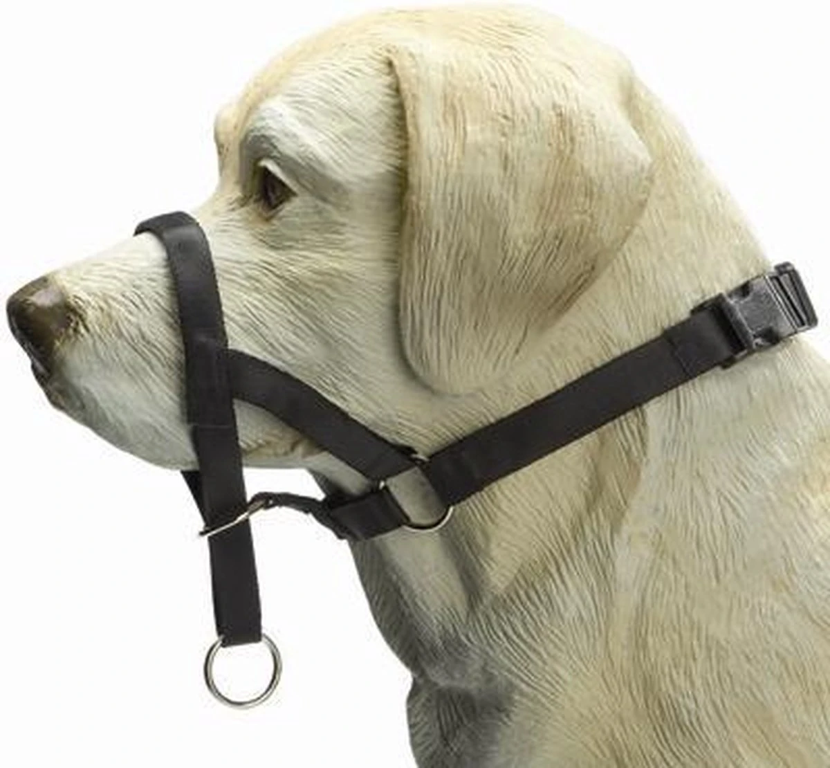 Beeztees Dog Control - Halsband Hond - Zwart - S 4 Beeztees Dog Control - Halsband Hond - Zwart - S - Afbeelding 2