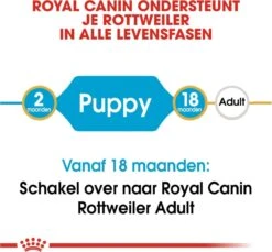 Royal Canin Rottweiler Junior 12 KG -Dieren Benodigdheden Winkel 1200x1114 2