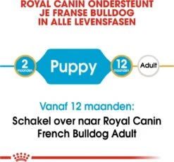 Royal Canin French Bulldog Junior 3 KG -Dieren Benodigdheden Winkel 1200x1115