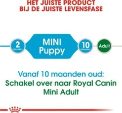 Royal Canin Mini Junior 8 KG -Dieren Benodigdheden Winkel 1200x1116
