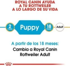 Royal Canin Rottweiler Junior 12 KG -Dieren Benodigdheden Winkel 1200x1127 1