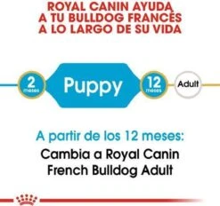 Royal Canin French Bulldog Junior 3 KG -Dieren Benodigdheden Winkel 1200x1127