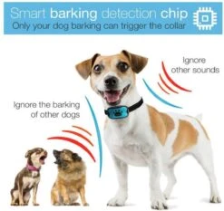 Merkloos Anti Blafband Voor Honden Blafband Anti Blaf Apparaat Blafband Zonder Schok - Diervriendelijk -Dieren Benodigdheden Winkel 1200x1133 1