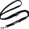 DDOXX Hondenriem Air Mesh, 3-voudig Verstelbaar, 2m | Voor Kleine & Grote Honden | Dubbele Riem Twee Honden Kat Puppy | Tug Leash Large | Lead Leash Small | Walking Leash Puppy Leash | Zwart, XS -Dieren Benodigdheden Winkel 1200x1133 3