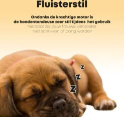 Hondentondeuse Professioneel - 2 In 1 - Honden & Katten - Hondentrimmer - Dikke & Dunne Vacht -Dieren Benodigdheden Winkel 1200x1136 3