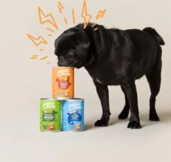 Edgard & Cooper Lam & Rund Blik - Voor Volwassen Honden - Hondenvoer - 12 X 400g -Dieren Benodigdheden Winkel 1200x1138 1