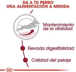 Royal Canin Medium Adult 7+ 15 KG -Dieren Benodigdheden Winkel 1200x1143 1