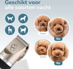 BYER Professionele Dieren Tondeuse Set - Voor Huisdieren Katten & Honden - Draadloos - Oplaadbare Pet Trimmer - Dog Tondeuze Clipper - 5 Standen & Vier Opzetkammen - Low Noise -Dieren Benodigdheden Winkel 1200x1144 1